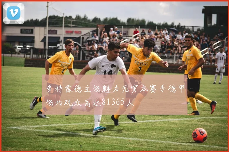 多特蒙德主场魅力无穷本赛季德甲场均观众高达81365人